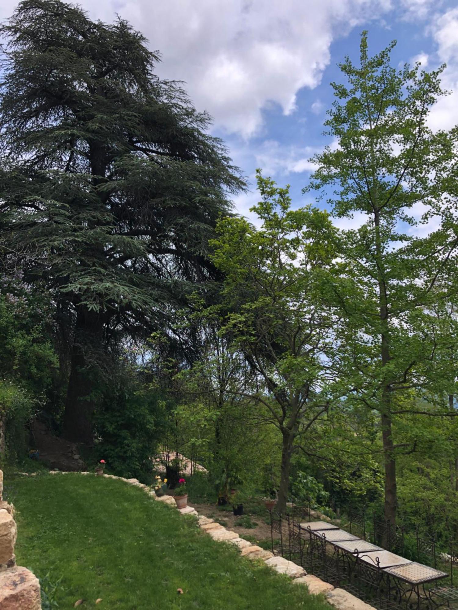 La Chataigne Perchee, Piscine Et Nature Apartment