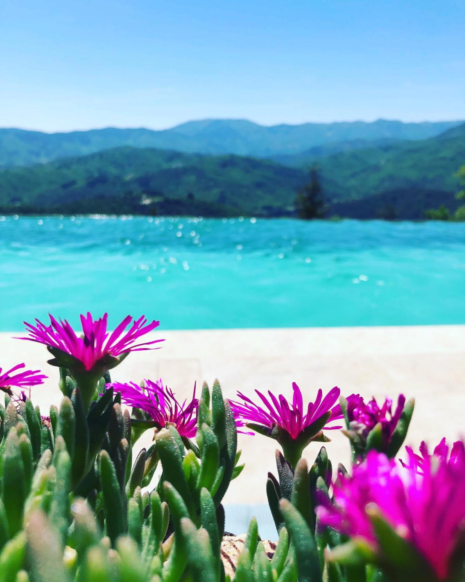 La Chataigne Perchee, Piscine Et Nature * Chirols